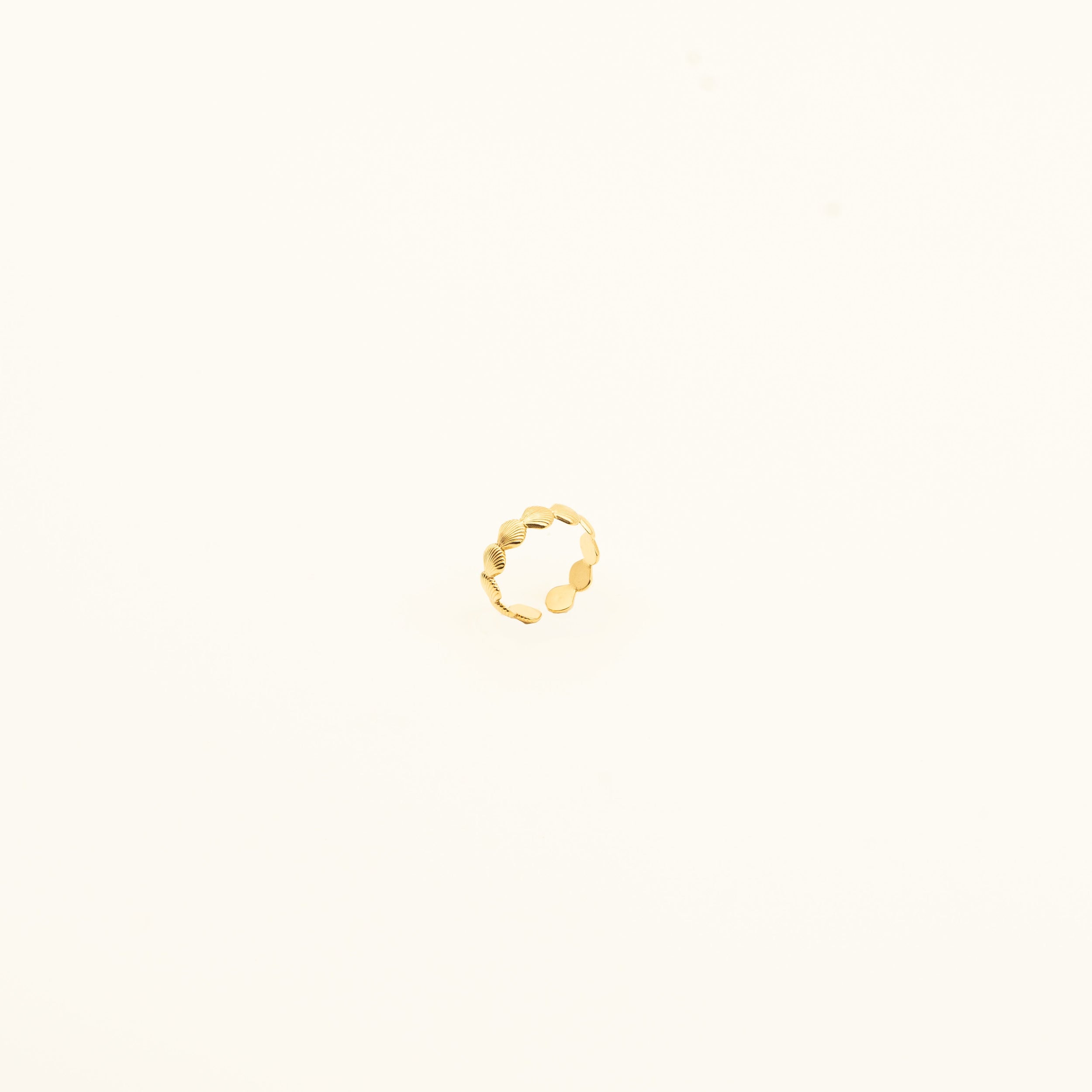 Aurora Petal Band nucery