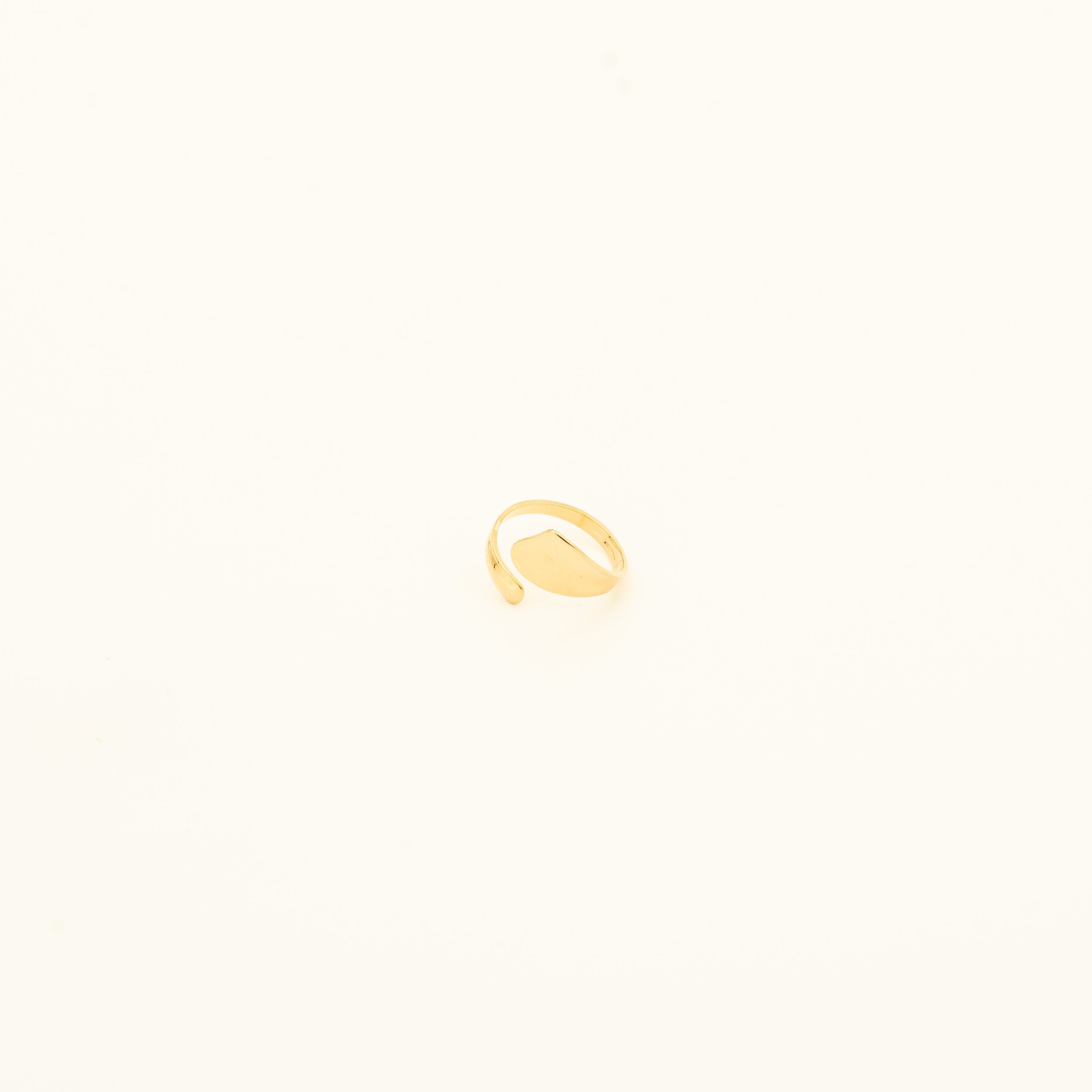 PURICE GLEEJOYJEWELS