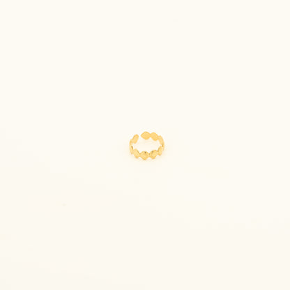 Aurora Petal Band