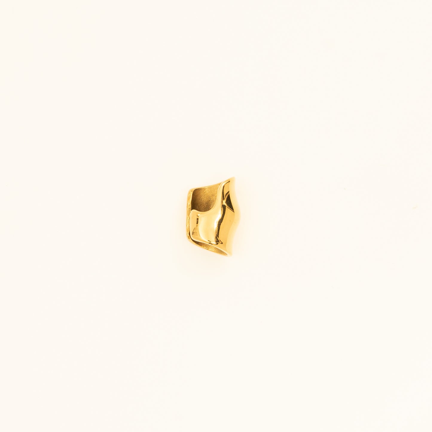 Gold Ear Clip