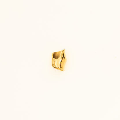 Gold Ear Clip