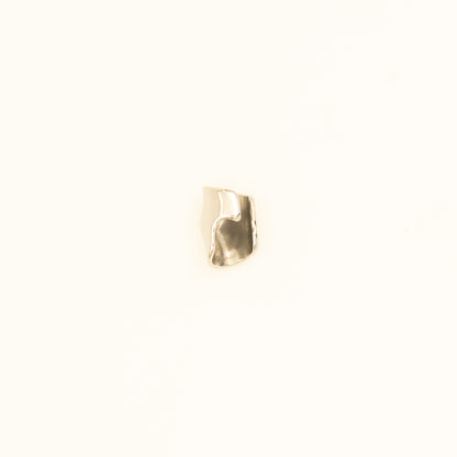 Silver Ear Clip