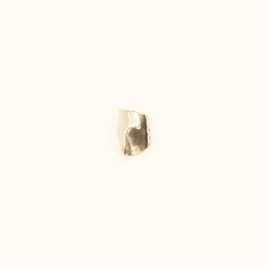 Silver Ear Clip