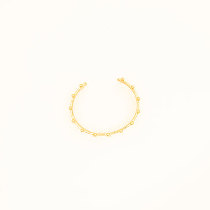 VIVA