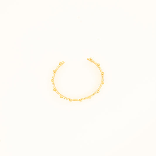VIVA
